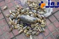 جاسازی 4 کیلو گرم تریاک در معده یک قاچاقچی!