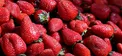 عرضه توت فرنگی با نرخ ۲۰۰ هزار تومان غیر منطقی است