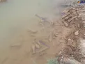 کشف خمپاره‌های به جا مانده از دوران جنگ تحمیلی+ عکس