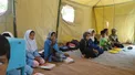 ترک تحصیل بیش از ۵۰ درصد دانش آموزان دختر عشایر بعد از دوره ابتدایی
