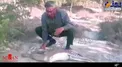 ایست قلبی و مرگ آهو از ترس شکارچیان + عکس