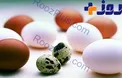 ارزش غذایی کدام تخم پرنده بالاتر است؟