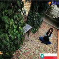 ژست عجیب و غیر عادی خانم بازیگر وسط حیاط+عکس