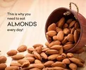 این مواد غذایی را جایگزین گوشت کنید