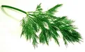 شربتی سنتی که چربی خونتان را از بین می‌برد