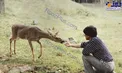 عکسی دیده نشده از محمدرضا شجریان در آمریکا