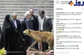 سوتي عجيب مسئول دفتر رئيس جمهور +عكس