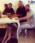 عکس/ دورهمی دوستانه سه قهرمان