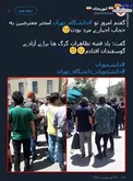 تظاهرات گرگ‌ها برای آزادی گوسفندان +عکس