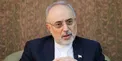 علی اکبر صالحی: سازمان انرژی اتمی اثبات کرد که حداکثر هوشمندی را در مذاکرات و در متن برجام به خرج داده است