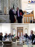 دیدار و گفت وگوی ظریف و جانسون+عکس