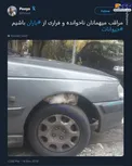 مراقب این مهمانان ناخوانده باشید +عکس