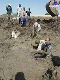کشف پیکر مطهر 65 شهید مدفون شده در منطقه باتلاقی/عکس