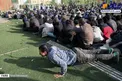 شنا سوئدي يك معتاد تهراني/عكس