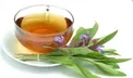 گیاهی پر مصرف که تسکین دهنده طبیعی درد است