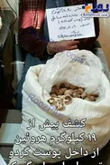 جاسازی هروئین در پوست گردو!+عکس