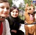 تصویری از بازیگران سریال پایتخت به همراه سگشان!