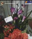 عکس/دست گل مدل زن ایرانی ساکن دبی برای الناز شاکردوست