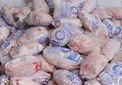 توزیع ۵هزار تن مرغ تنظیم بازاری ۱۳۵۰۰ تومانی