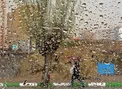 هواشناسی: بارندگی در جنوب شرق/ البرز و زاگرس بارانی می شود