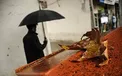 خبر خوب هواشناسی برای استانهای تهران و البرز