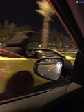 دردسر هاي عجيب بچه پولدار عرب /عکس