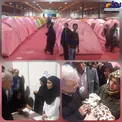 عکس/ بازدید وزیر بهداشت از محل اسکان اضطراری سیل زدگان