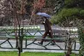 هواشناسی: بارش باران و وزش باد برای ۱۷ استان/ اهواز گرم‌ترین منطقه کشور