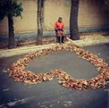 عاشقانه های یک پاکبان خوش ذوق/عکس