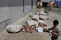 ۴ تن كله پاچه فاسد کشف شد!