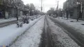 عکس/ بارش برف سنگین در هشترود