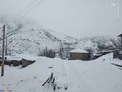 سوادکوه غرق در برف/ عکس