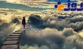 بهترین های اهل بهشت چه کسانی هستند؟