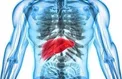 مشکلات کبدی تالاسمی‌ها را بشناسیم