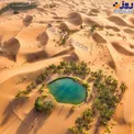 عکس/ واحه ای زیبا در ابوظبی