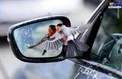 ژست جالب یک پرنده مقابل آینه+عکس