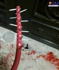 عکس/ یک نمونه از ابزار کشنده مورد استفاده دراویش داعشی در آشوب خیابان پاسداران