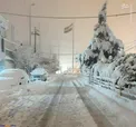 بارش سنگین برف در عراق /عکس