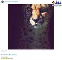 واکنش جالب بیرانوند به قرعه ایران در جام جهانی +عکس
