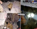 تصویری دردناک از نجات مردم از زیر آوار