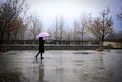 هواشناسی: کاهش دما در اغلب استان ها/ ورود سامانه جدید بارشی