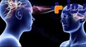 دیگران من را چگونه می بینند؟ +تست روان شناسی
