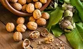 با مصرف یک مغزی خوشمزه به جنگ بیماری های قلبی بروید