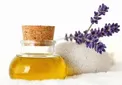 از خواص بی نظیر روغن شتر مرغ بیشتر بدانید