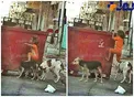 وقتی حیوان گرسنگی کودک را بهتر از انسان درک می کند...+عکس