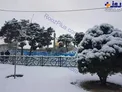 عکس/حرم حضرت فاطمه معصومه(س) در روز برفی