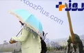 ورود سامانه جدید بارشی جدید از امروز