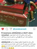 عکس/ پیامی که علی کریمی زیر پست هانی نوروزی گذاشت