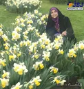 مجری زن تلویزیون باحجابی متفاوت در باغ گل + عکس