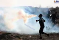 عکس/ حرکت جالب یک جوان فلسطینی